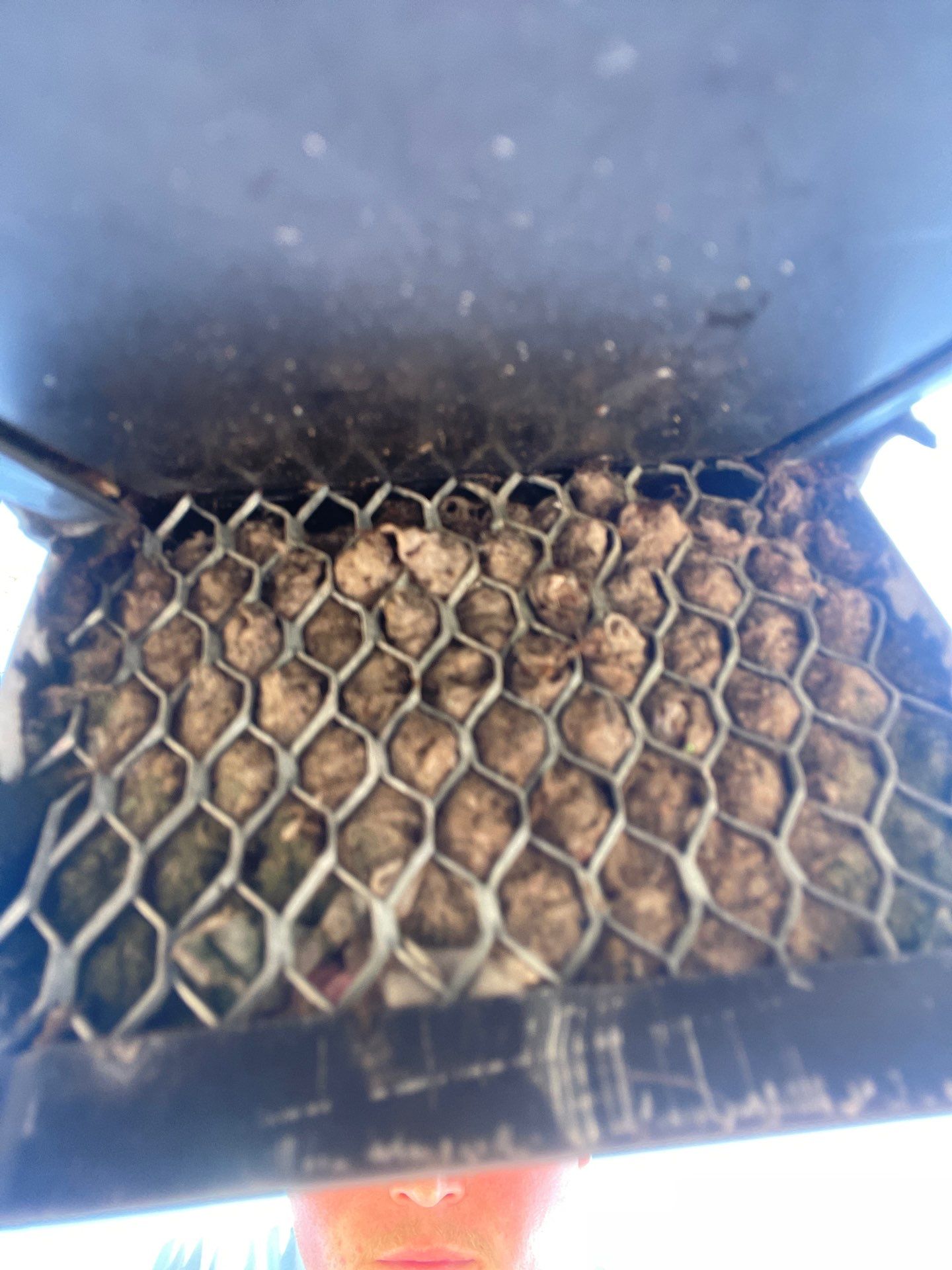 Dryer Vent Cleaning & Roof Termination Correction — Clermont by Hygienic Air, Inc