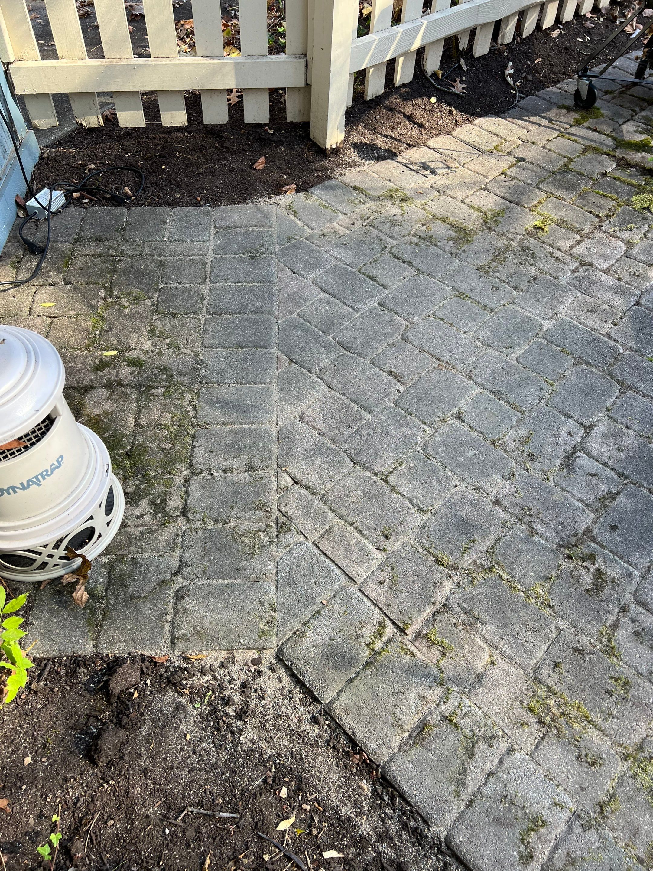 Arborvitae Install & Paver Repair using DGA - Crushed Limestone by Reisenberg’s Lawn & Landscape, LLC