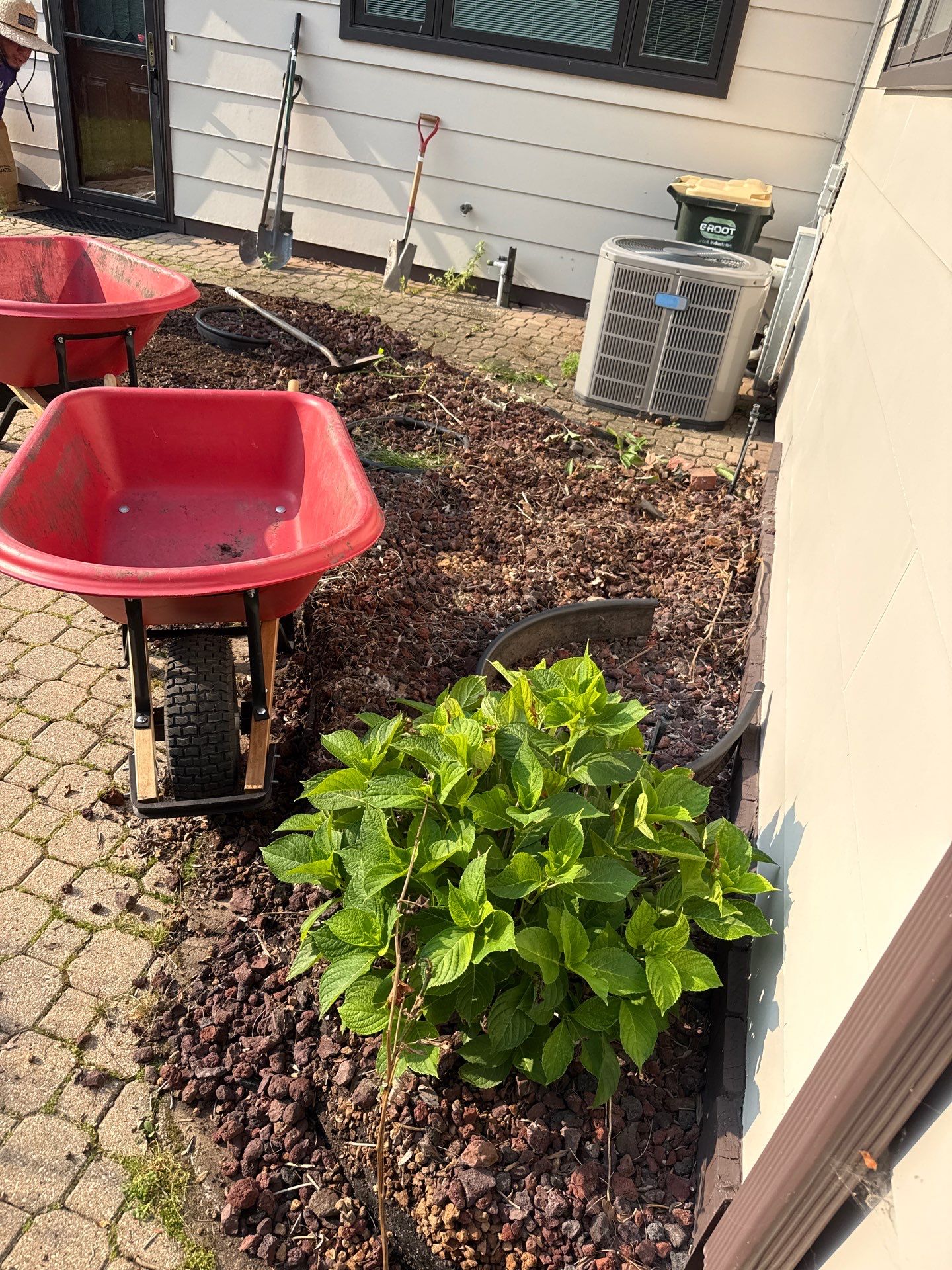 Robert B. - Arlington Heights, IL by A&N