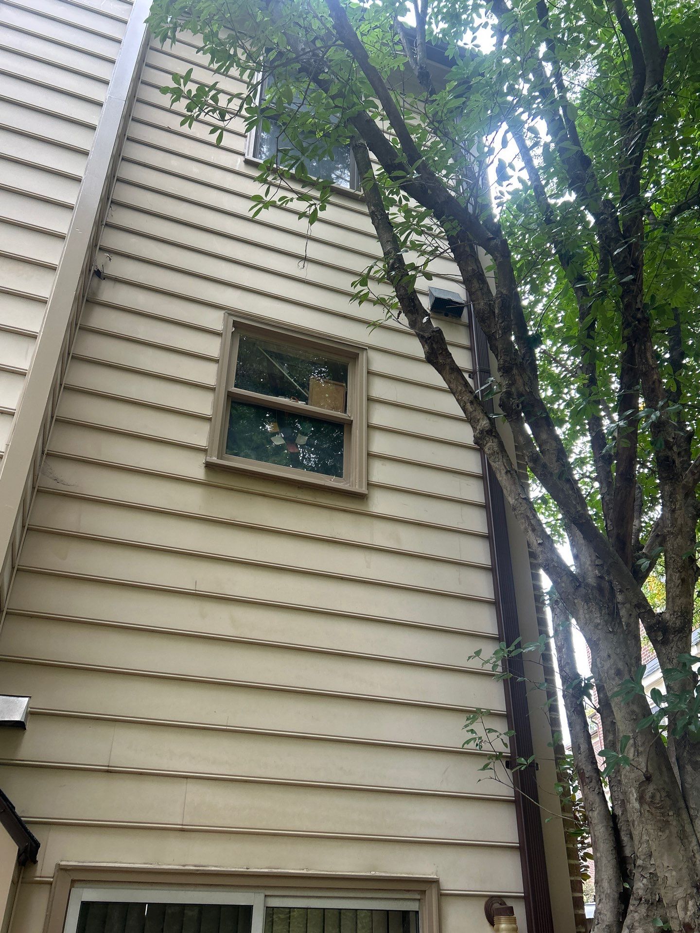 Alexandria : Residential Roof Replacement with CertainTeed Landmark Pro in Max Def Heather Blend  by RM Banning, Inc.