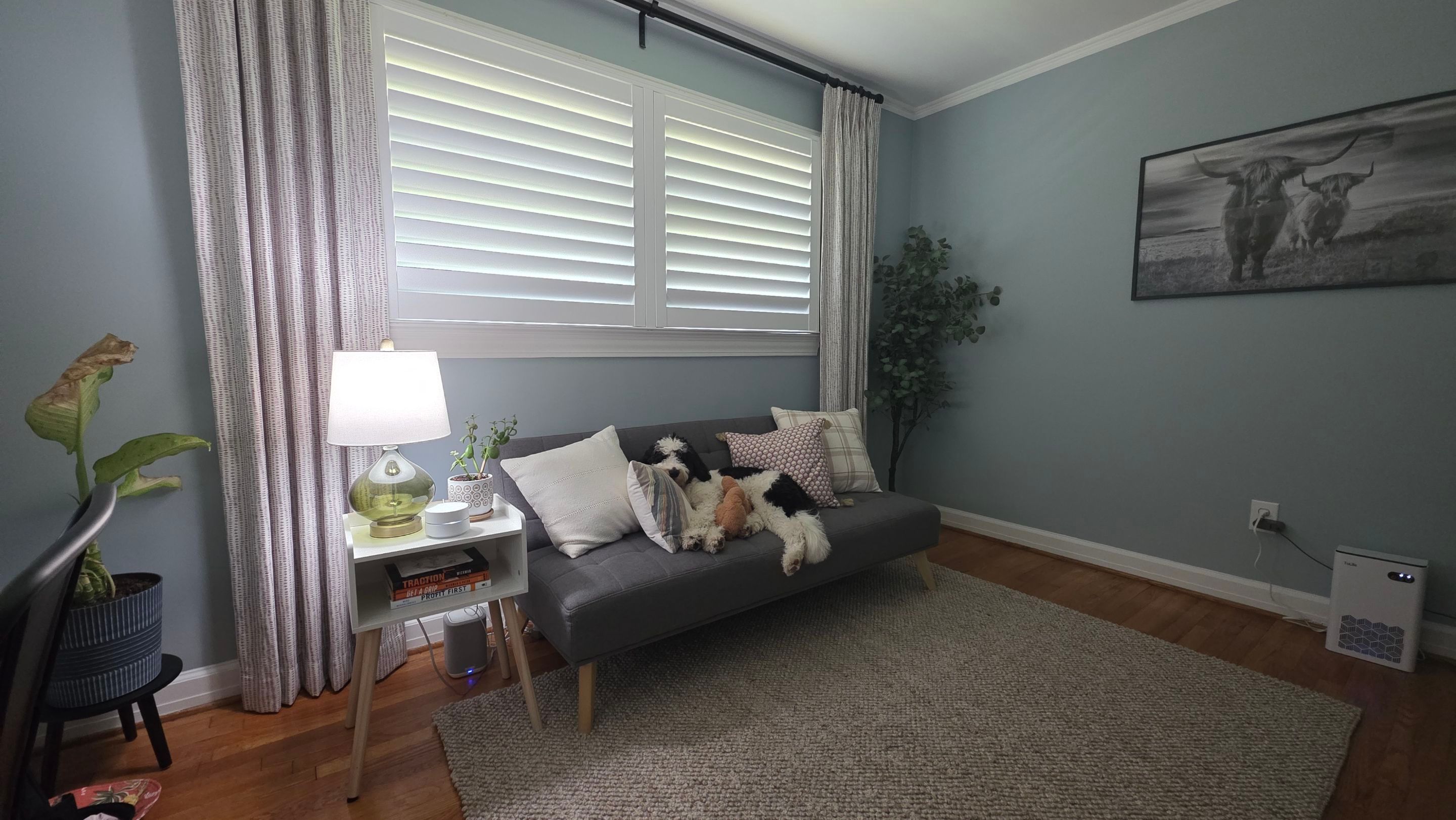 Project in Greenville by Southern Traditions Window Fashions