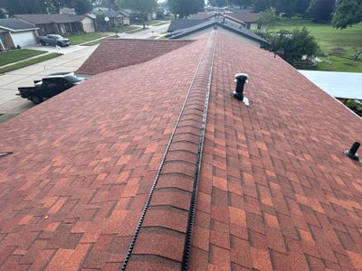 Project in St Louis - Terra Cotta