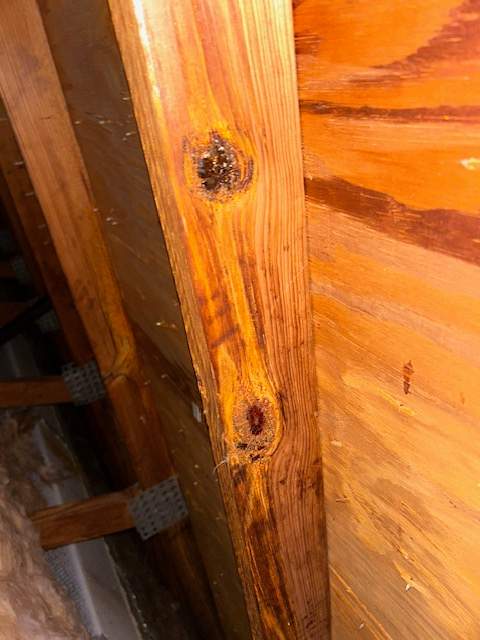 Roof Inspection by Four Peaks Roofing