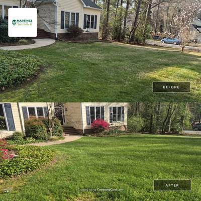 Lawn care program in Durham