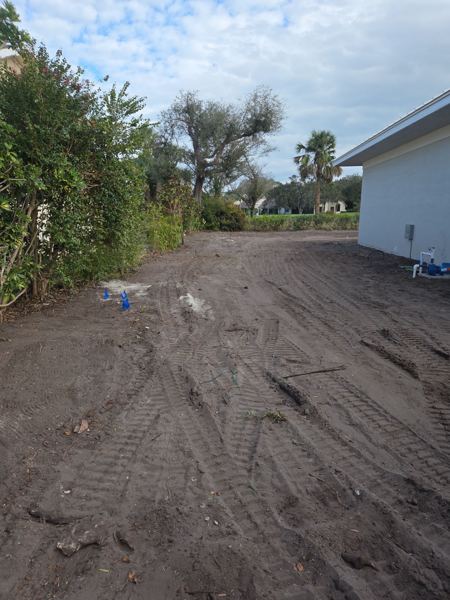 Landscaping and Irrigation for New Construction in Mariner Sands by Alpha Zeta Enterprises Inc
