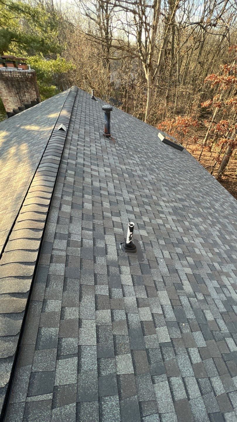 Vienna: Certainteed Landmark Pro Designer Shingles in Max Def Driftwood by RM Banning, Inc.