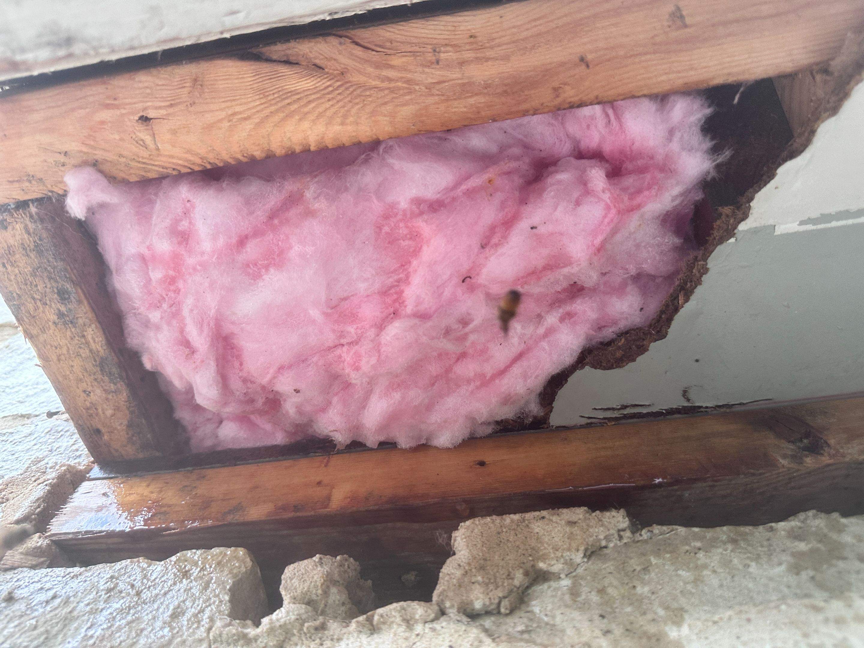 Way, WAY up! by Rockwall Honey Bee Company