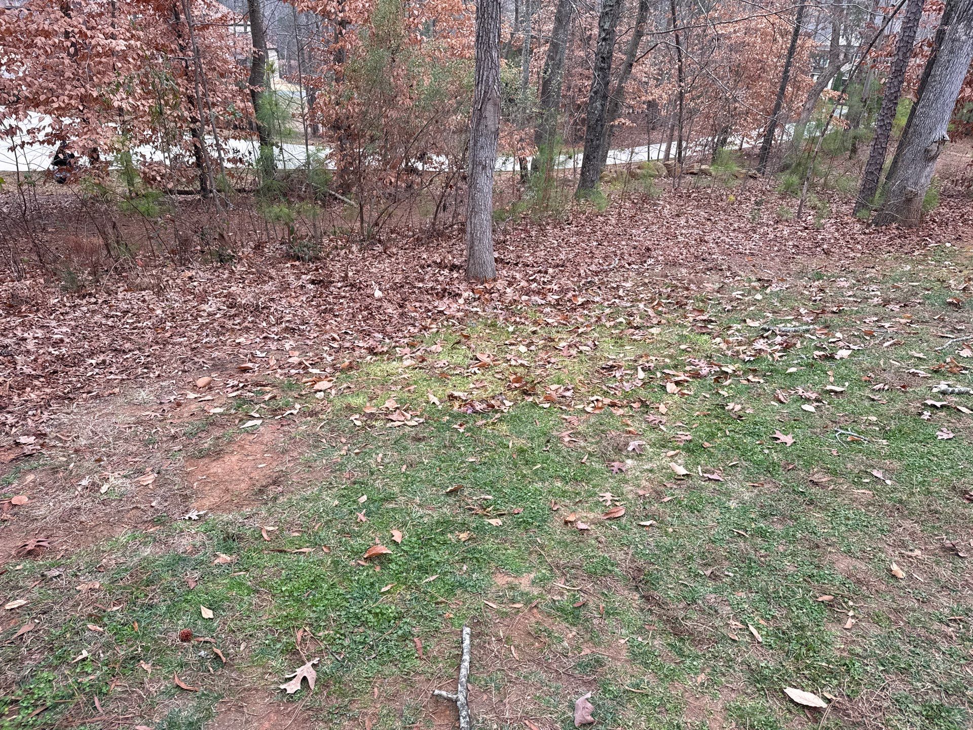 Project in Fort Mill by Badger Hauling