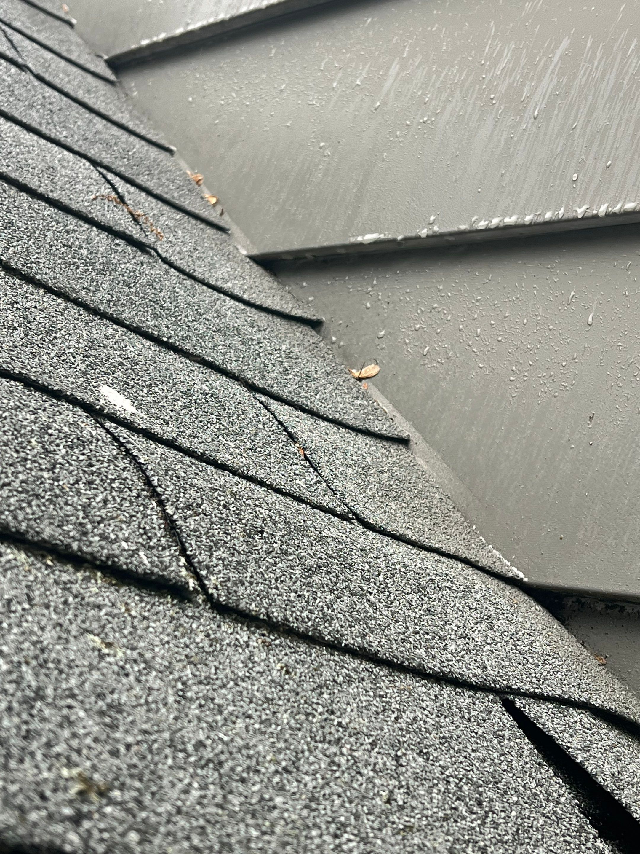 Complete Roof Replacement with Ventilation Upgrade by Mighty Dog Roofing of Greater Middlesex County