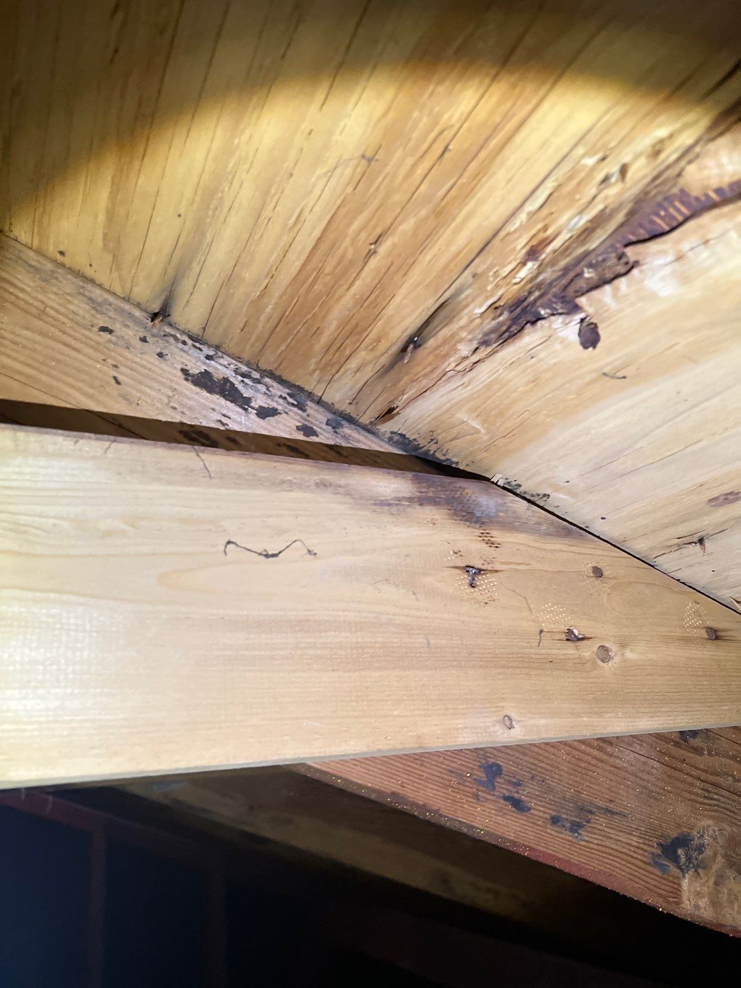 Residential Roofing Repair by Storm Guard of South Metro Denver