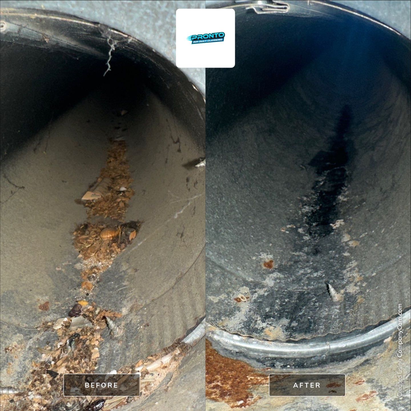 Air Ducts + Whole House Sanitizing by Pronto Air Duct Cleaning