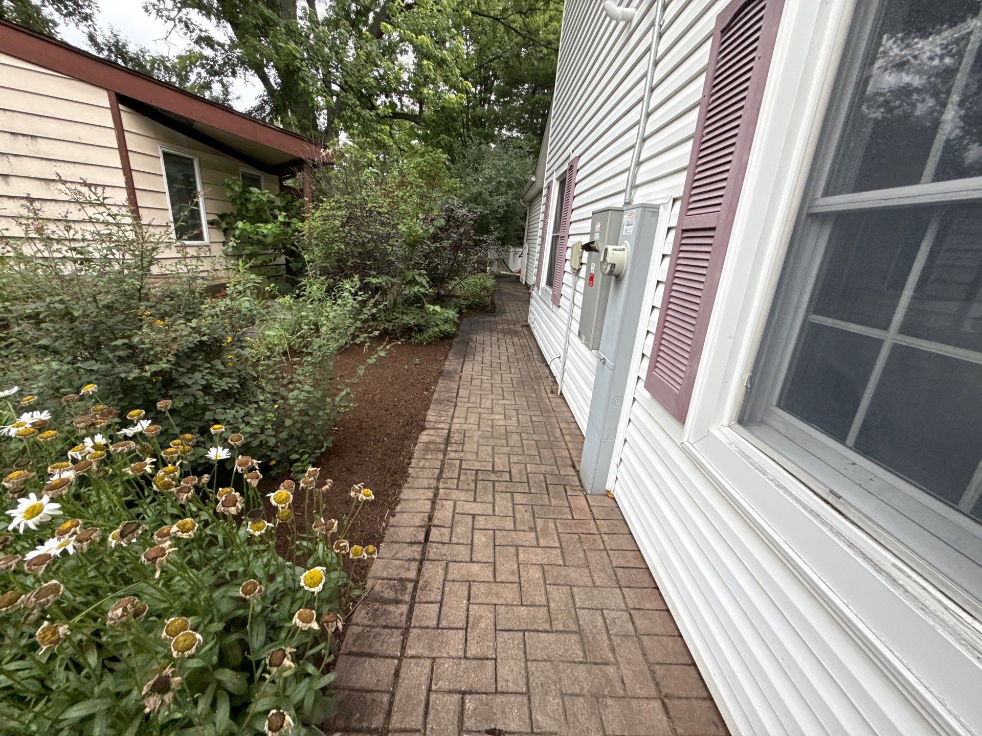Steven L. - Park Ridge, IL by A&N