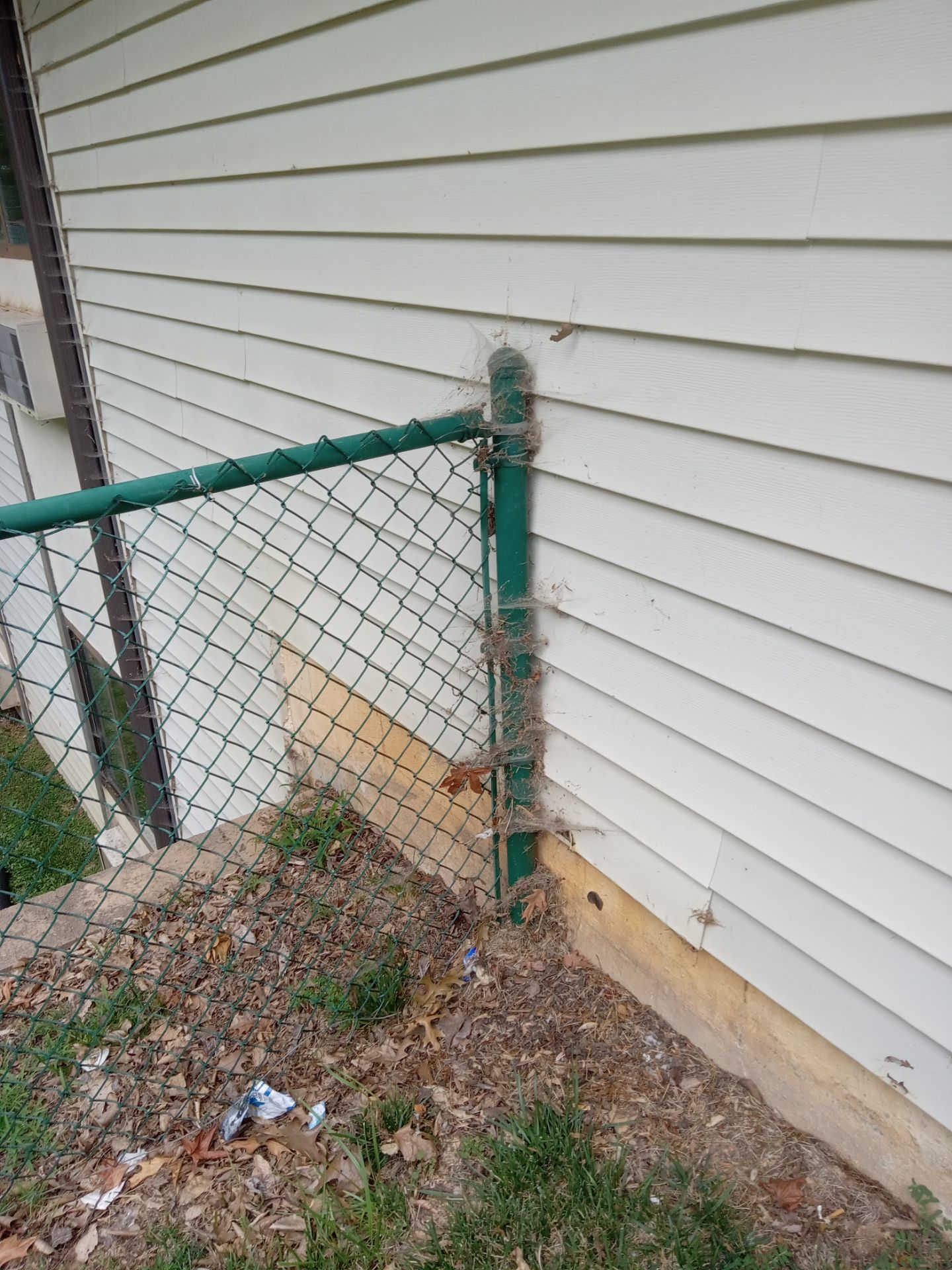 pressure washing vinyl siding removing dirt cobwebs and stains from exterior wall and fence post