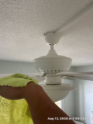 Wet Carpet Drying — Cape Coral, FL