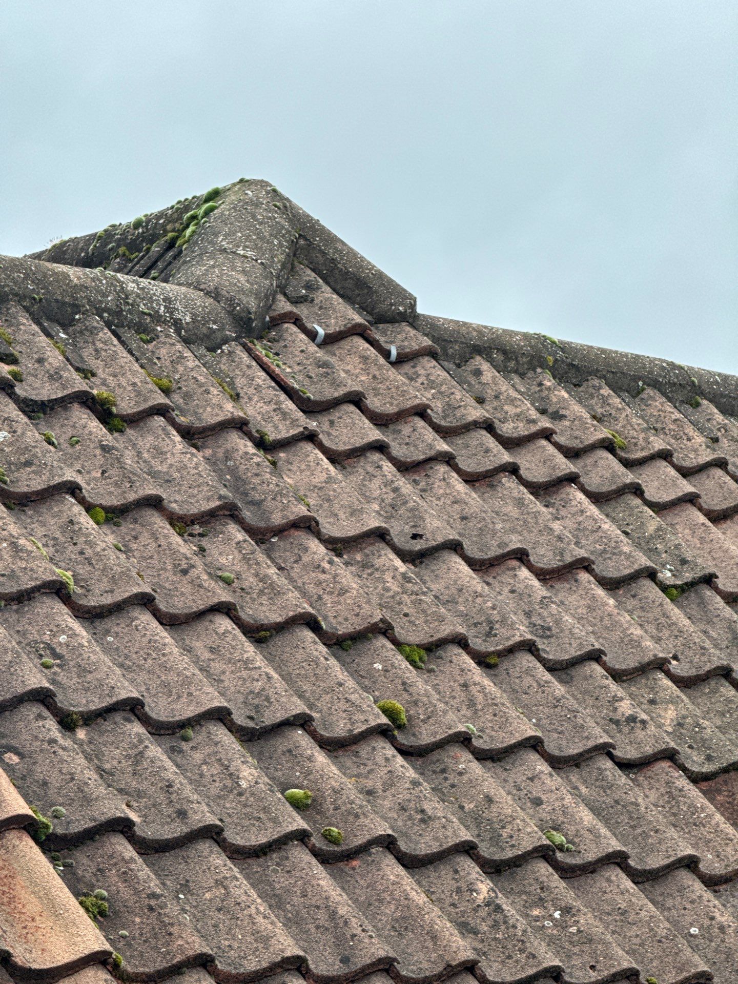 Roof Clean  - Moss Removal - Gutter Clean using Honda 15lpm Low Pressure Washing Machine by Ges Exterior Cleaning ltd