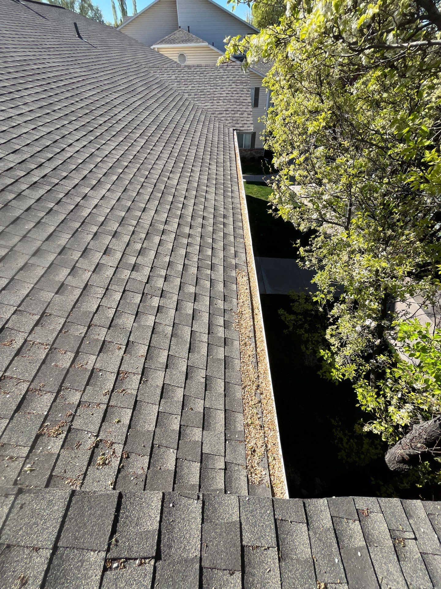 Commercial gutter cleaning Bozeman, MT before photo with filled gutters