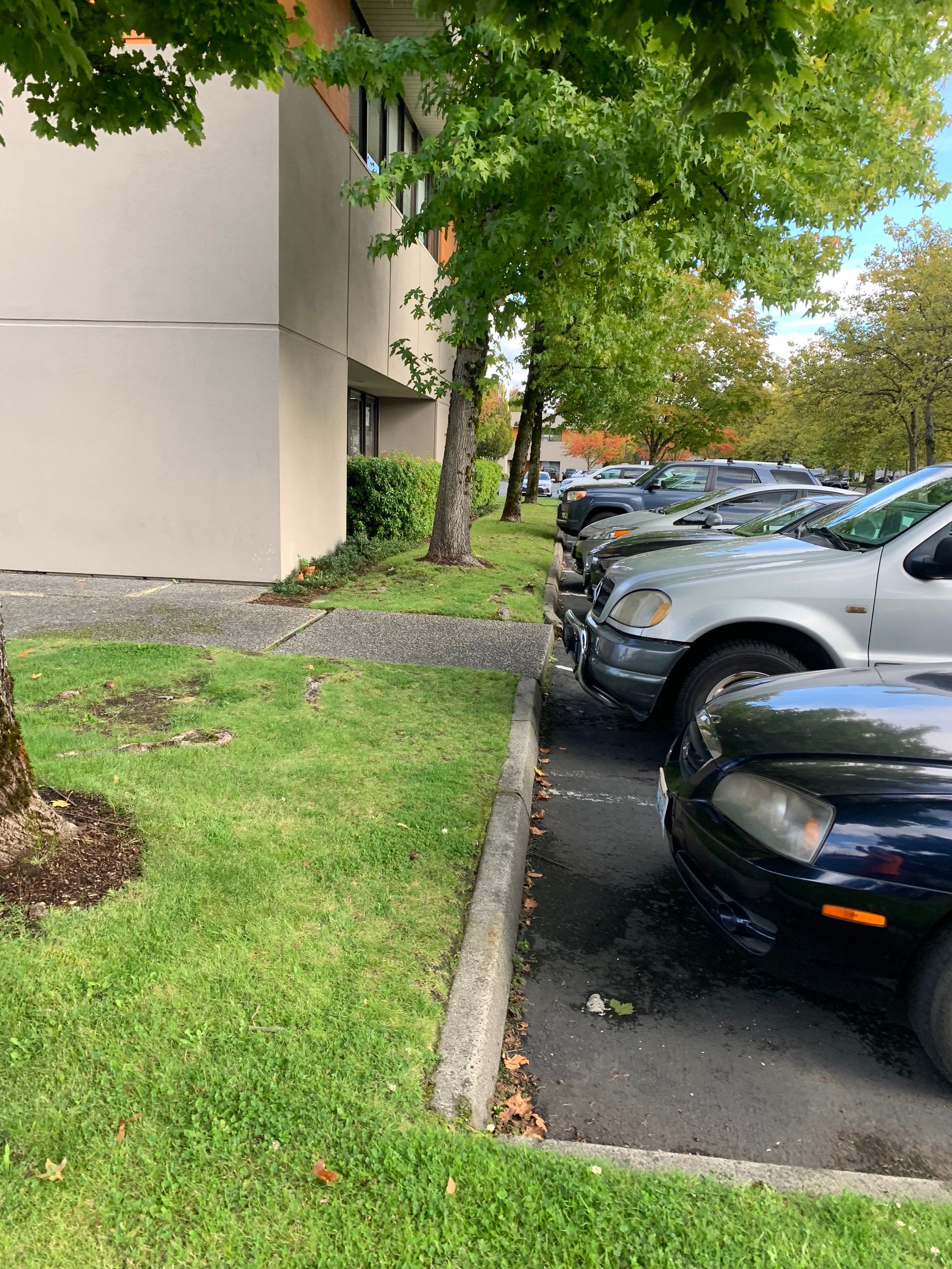 Culinex | Asphalt & Concrete Driveway Repair  by Jireh Asphalt & Concrete Inc 