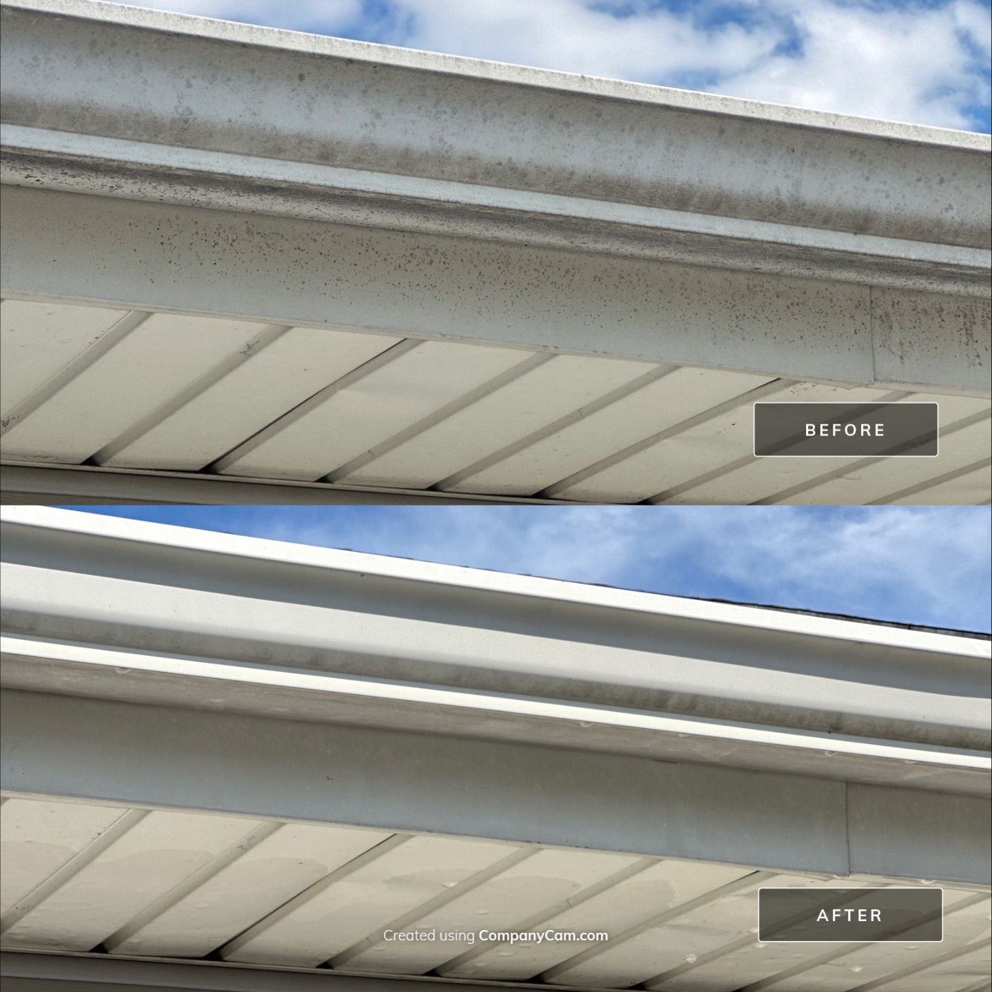 Project in Berkeley by Simmons Power & Soft Washing