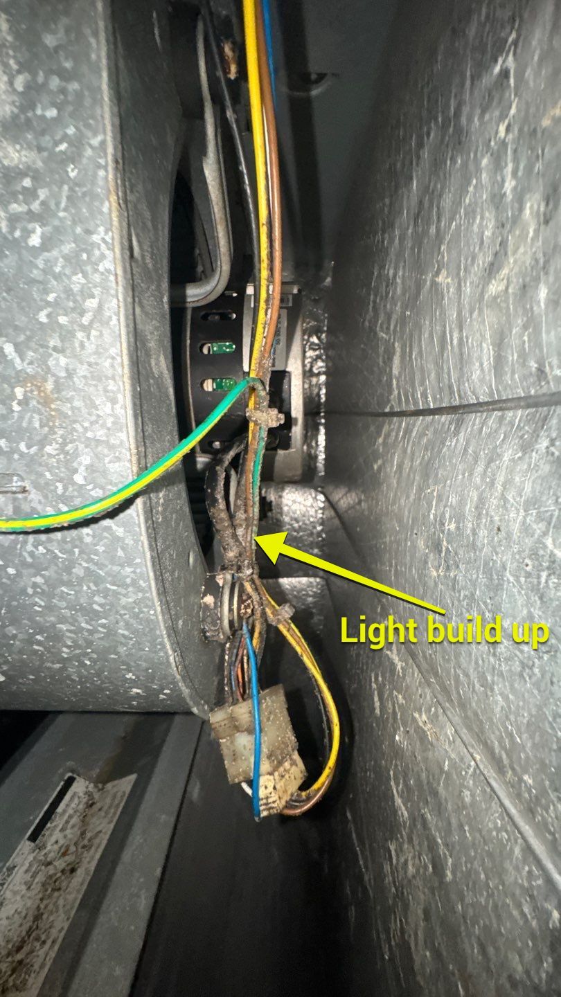 Air Duct and Dryer Vent Cleaning in Clermont by Hygienic Air, Inc