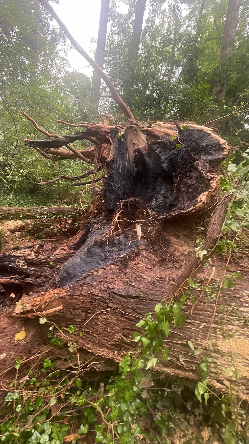 Emergency Roofing Services using GAF HDZ Architectural Asphalt Shingles by Mosaic Roofing Company