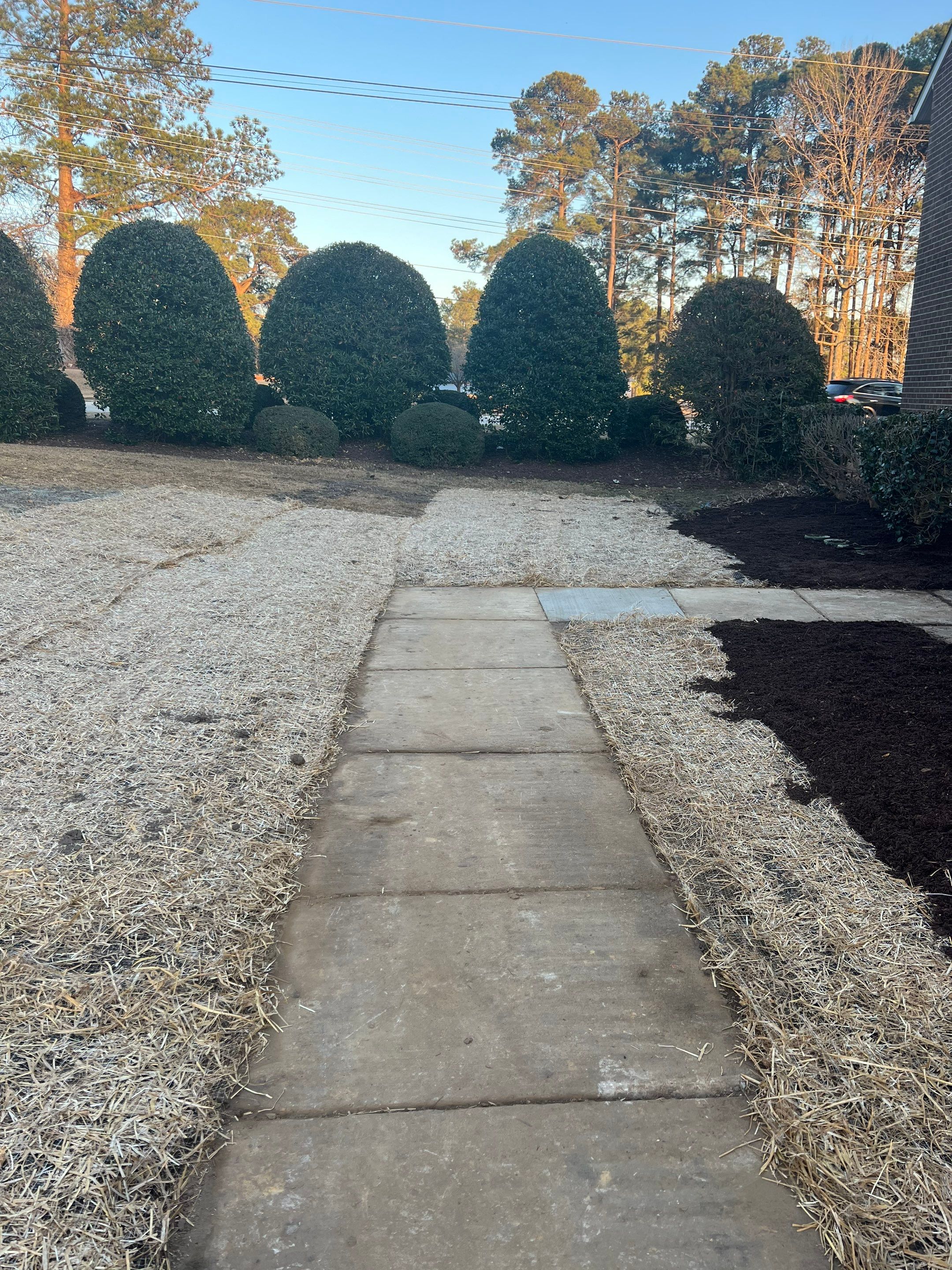 Private Water Main Repair & Site Drainage – Forest Hills Manor by S.W. Contracting & Consulting