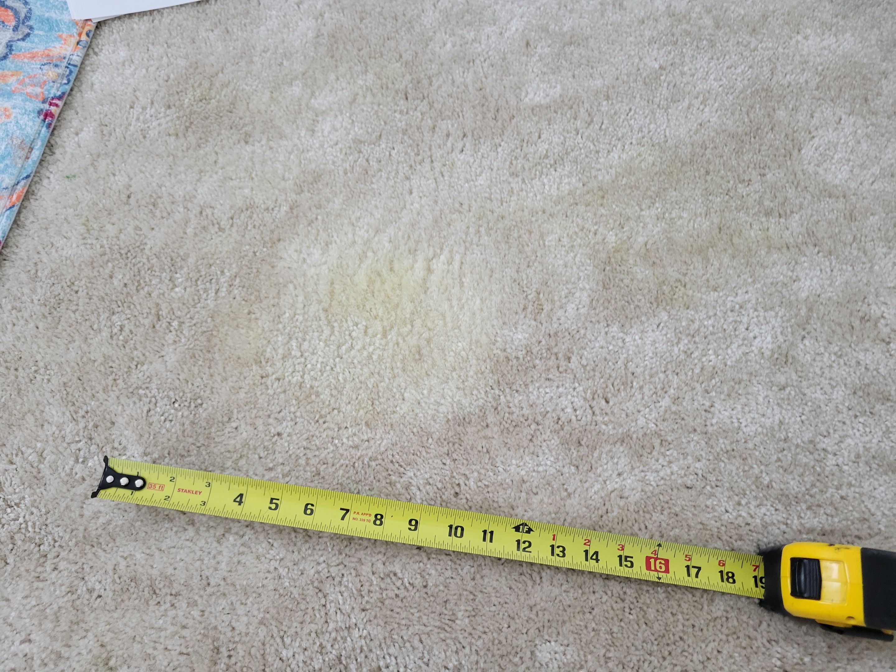 Carpet Repair of Paint, Stain & Bleach by Ardent Carpet Restore LLC