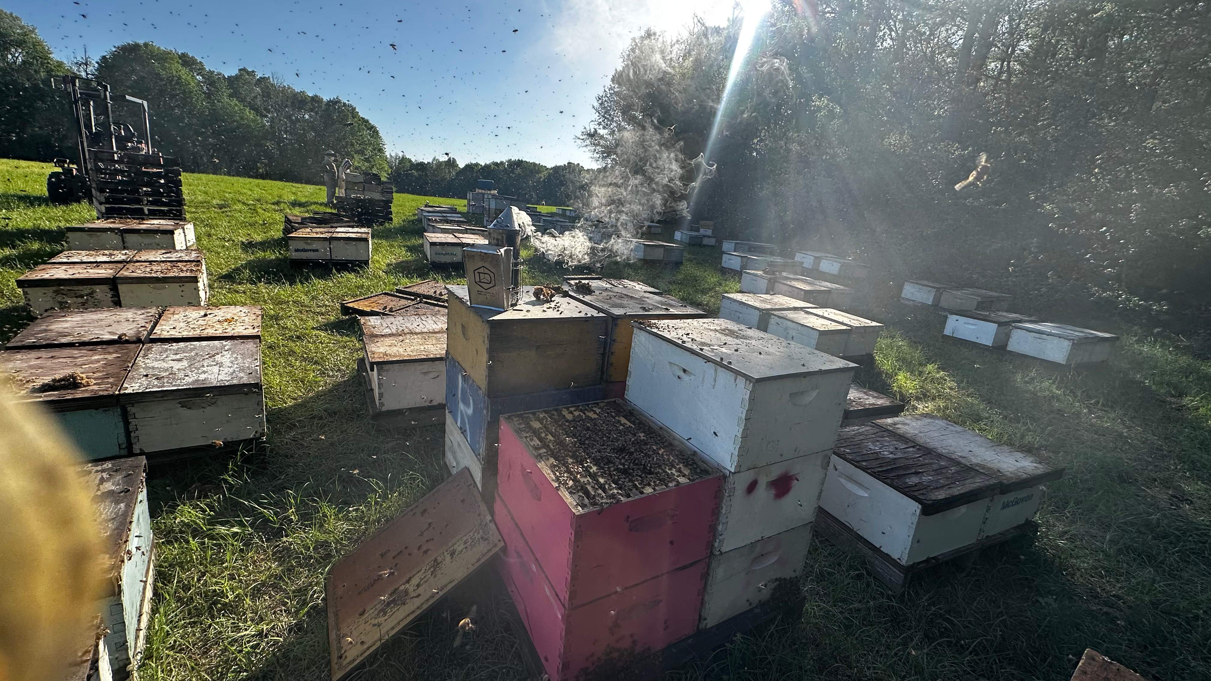 Traylor's Hay Meadow Apiary by Rockwall Honey Bee Company