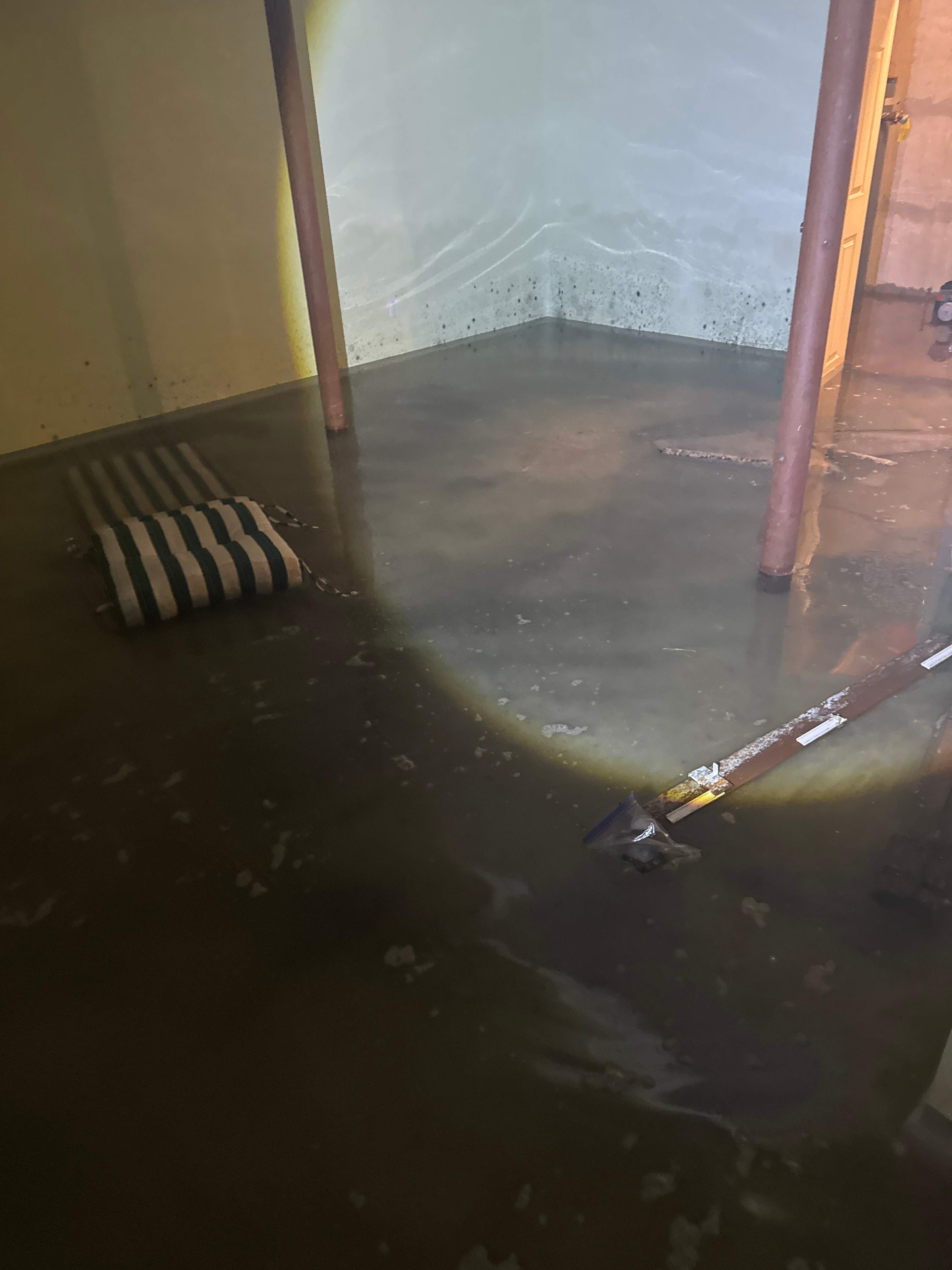 Water Damage / Mold Damage by Newhouse Restoration