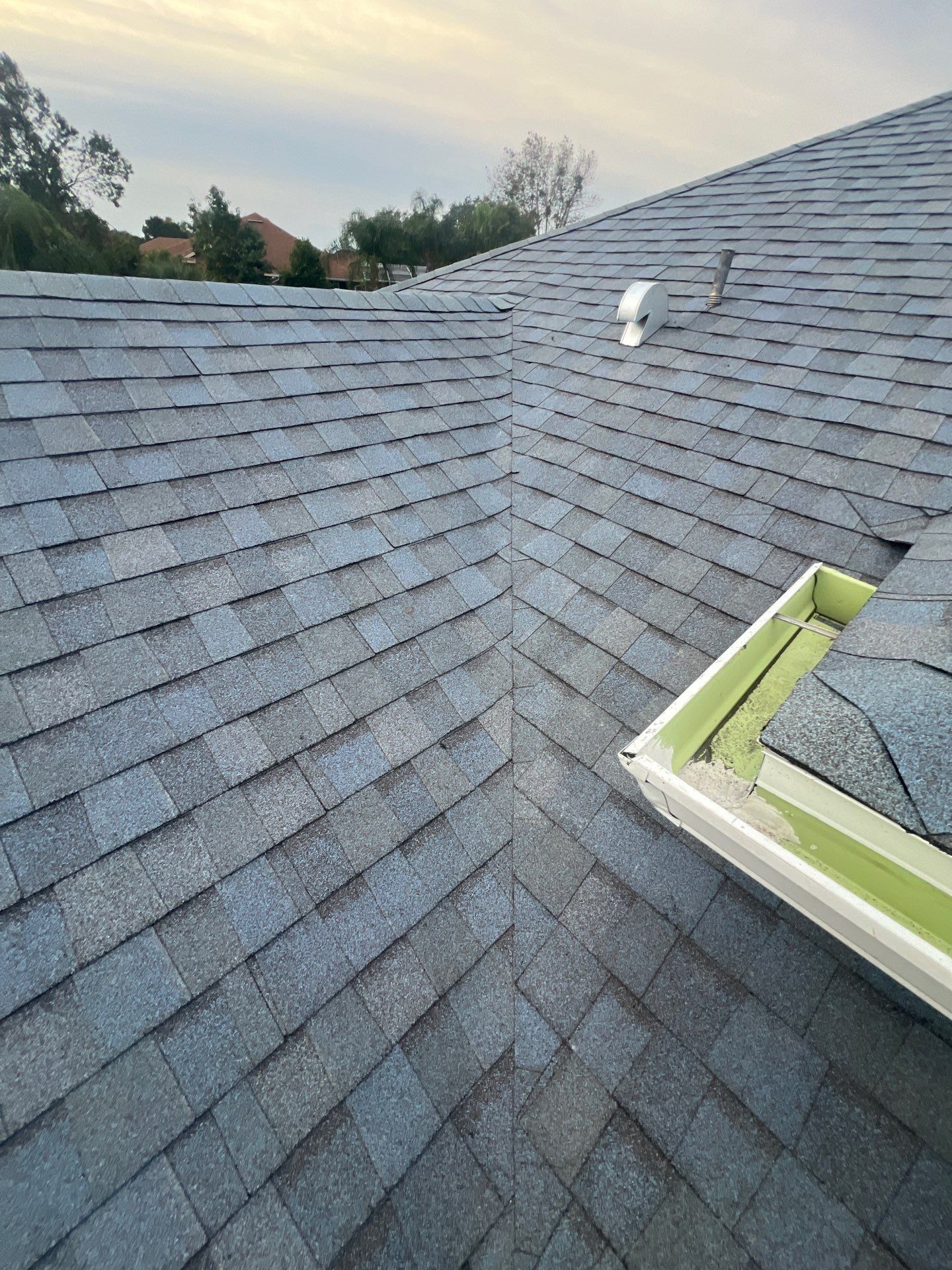 Shingle Reroof Replacement Debary FL by Pinnacle Roofing Group