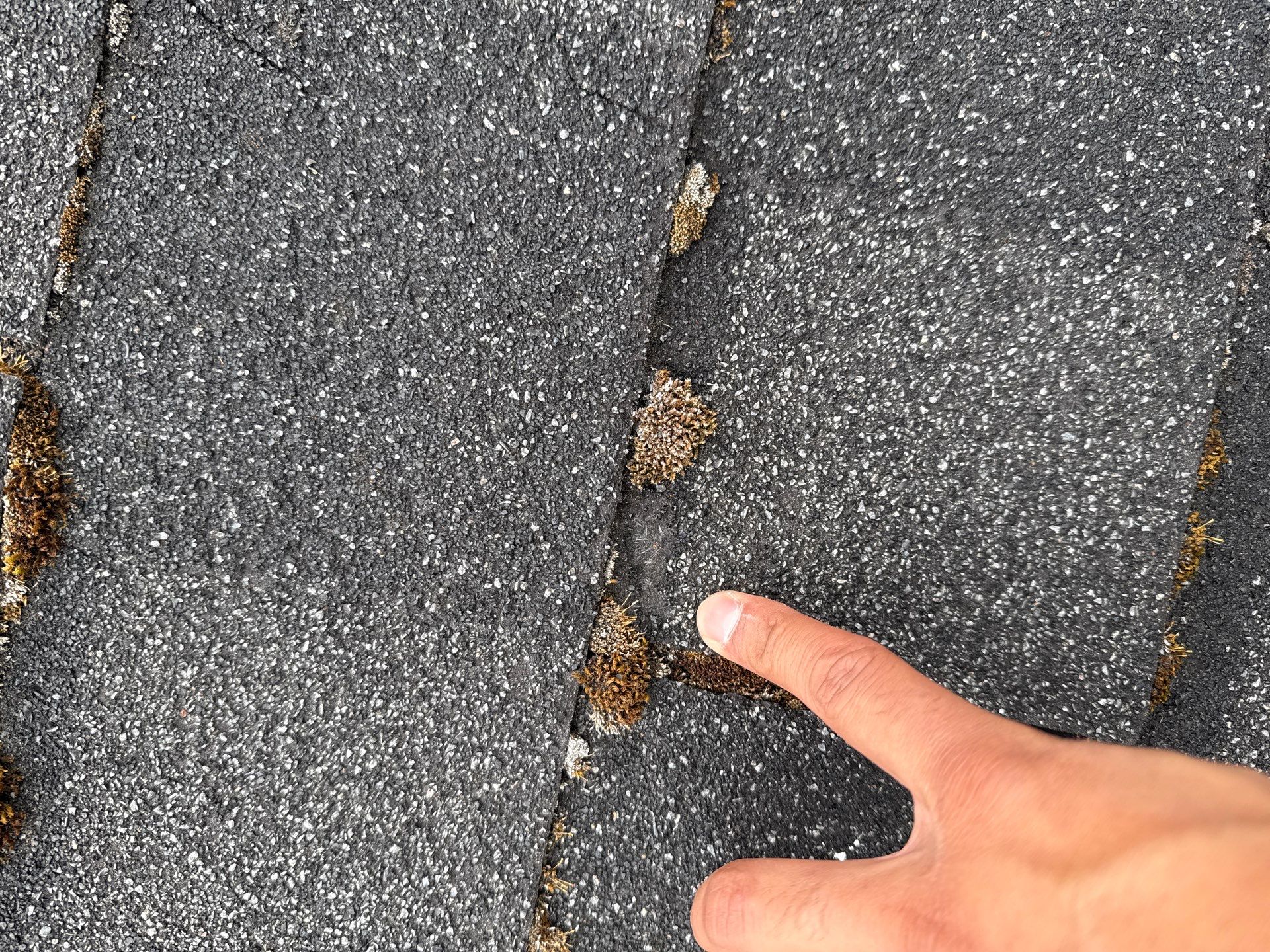 GAF Timberline HDZ, Charcoal  by Proline Roofing & Restoration LLC