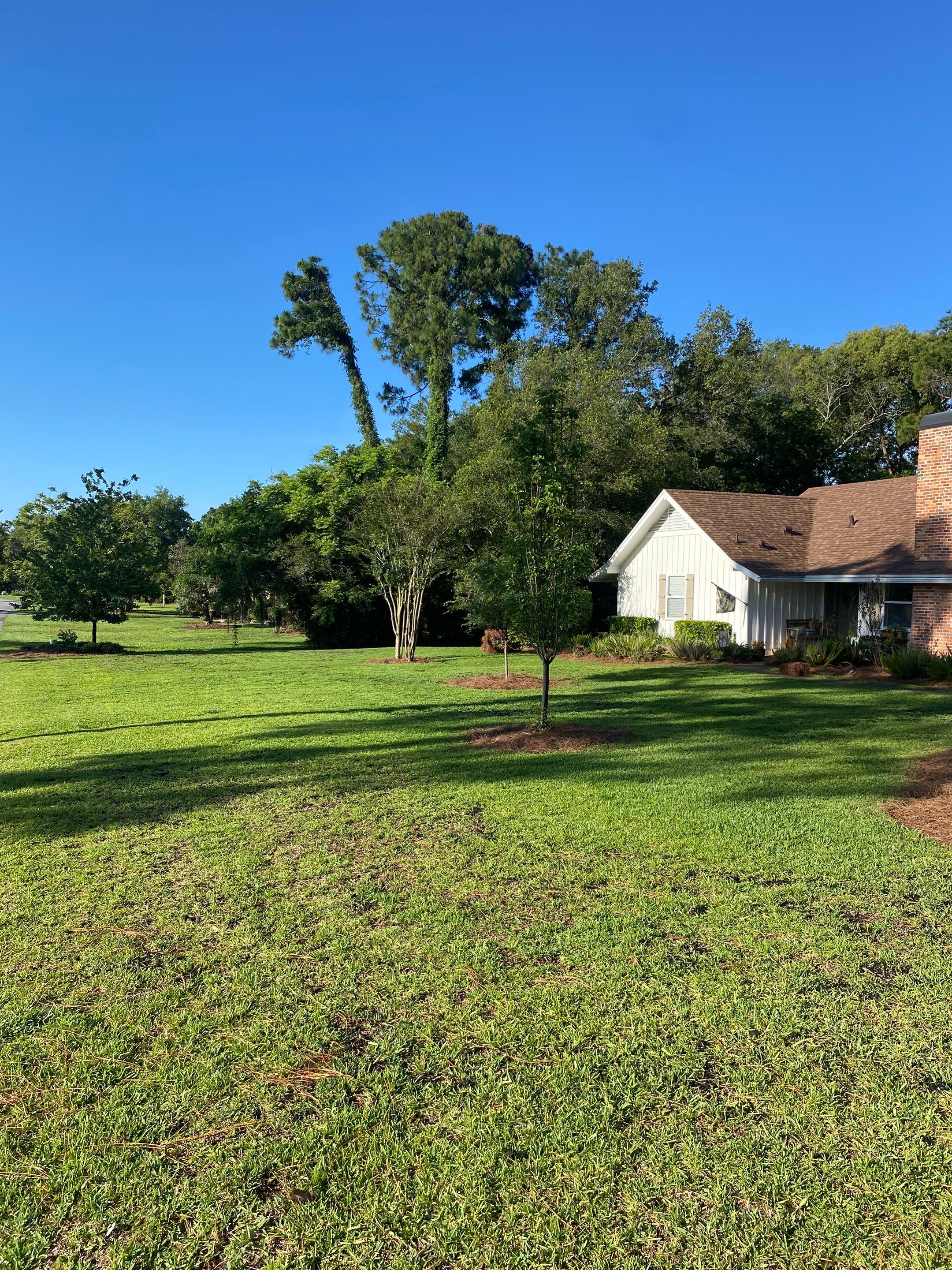 Deerwood Resident | Pine Straw & Topsoil Install by ProGreen Services