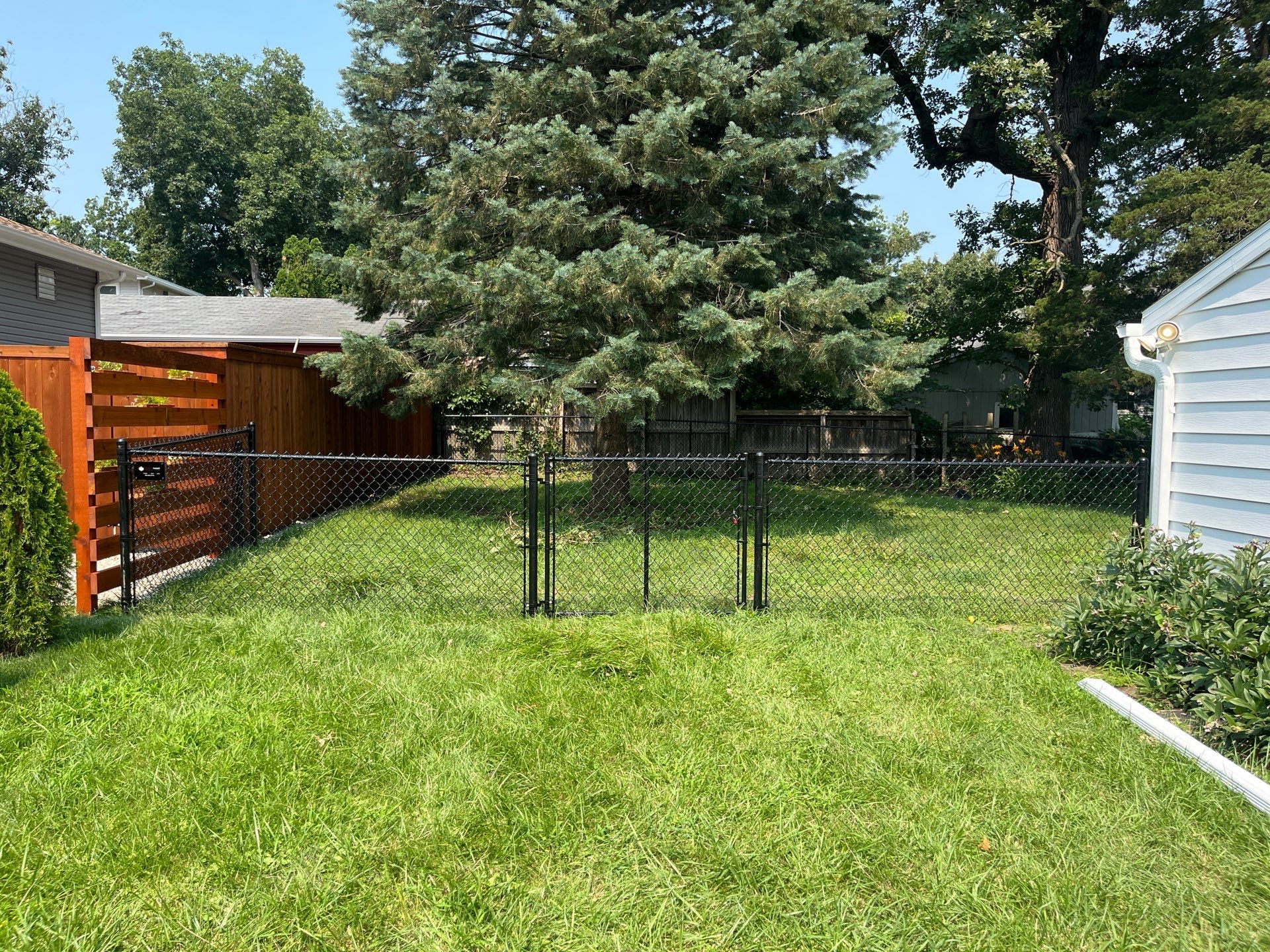 Residential Black Chain Link Fence Installation in Cedar Falls by Perfect Picket Fence and Stain