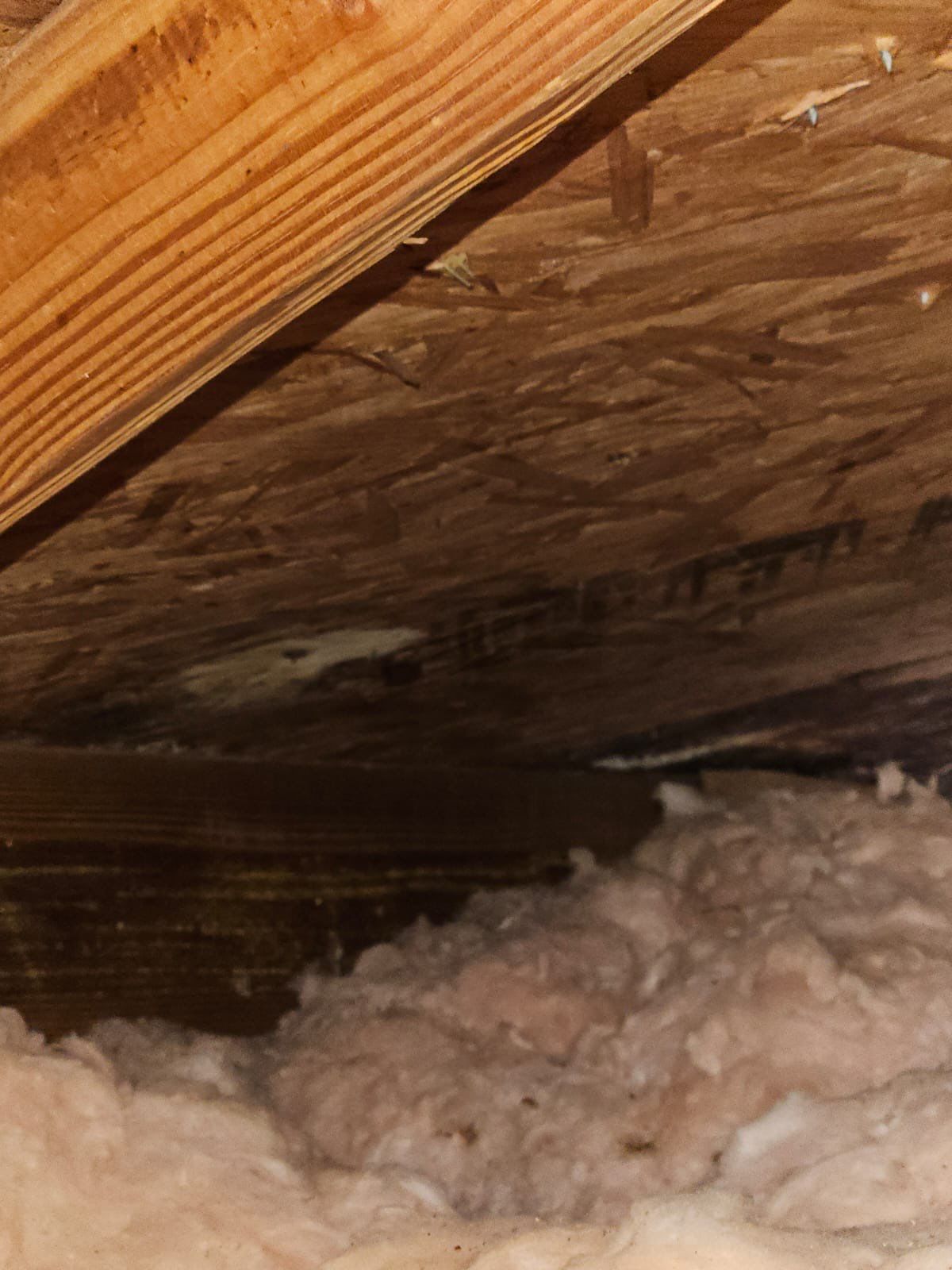 Residential Roofing Inspection  by Four Peaks Roofing