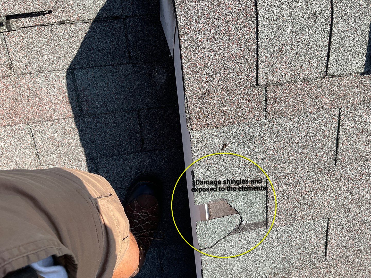 Residential Roofing Installation by Alpha Design Services