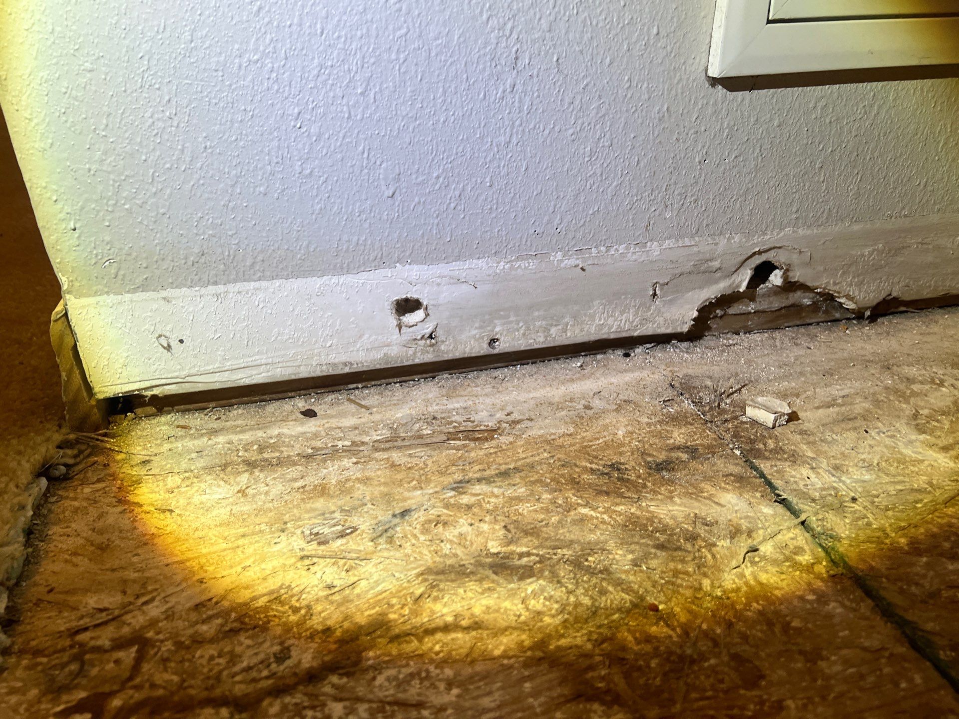 Project in Davenport by You Restorations LLC DBA YOU-Home