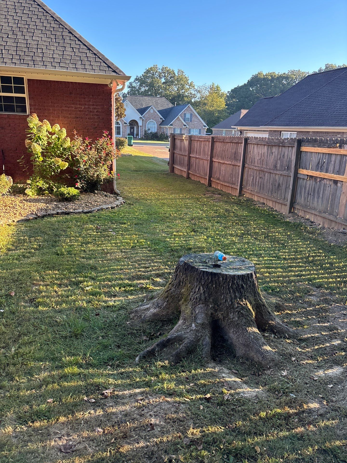 Lawn Care  by Elite Proscapes LLC