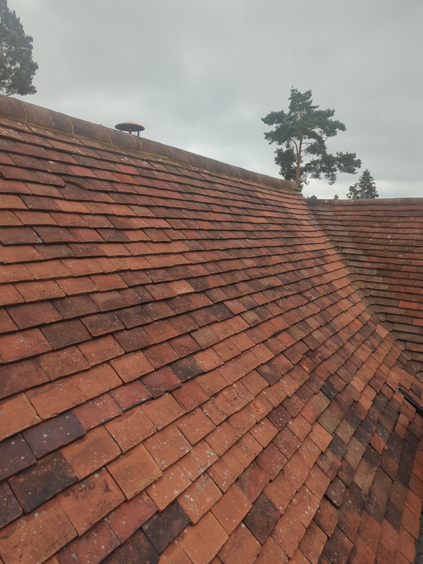 Roof Clean - Biocide Treatment using Honda 15lpm Low Pressure Washing Machine by Ges Exterior Cleaning ltd