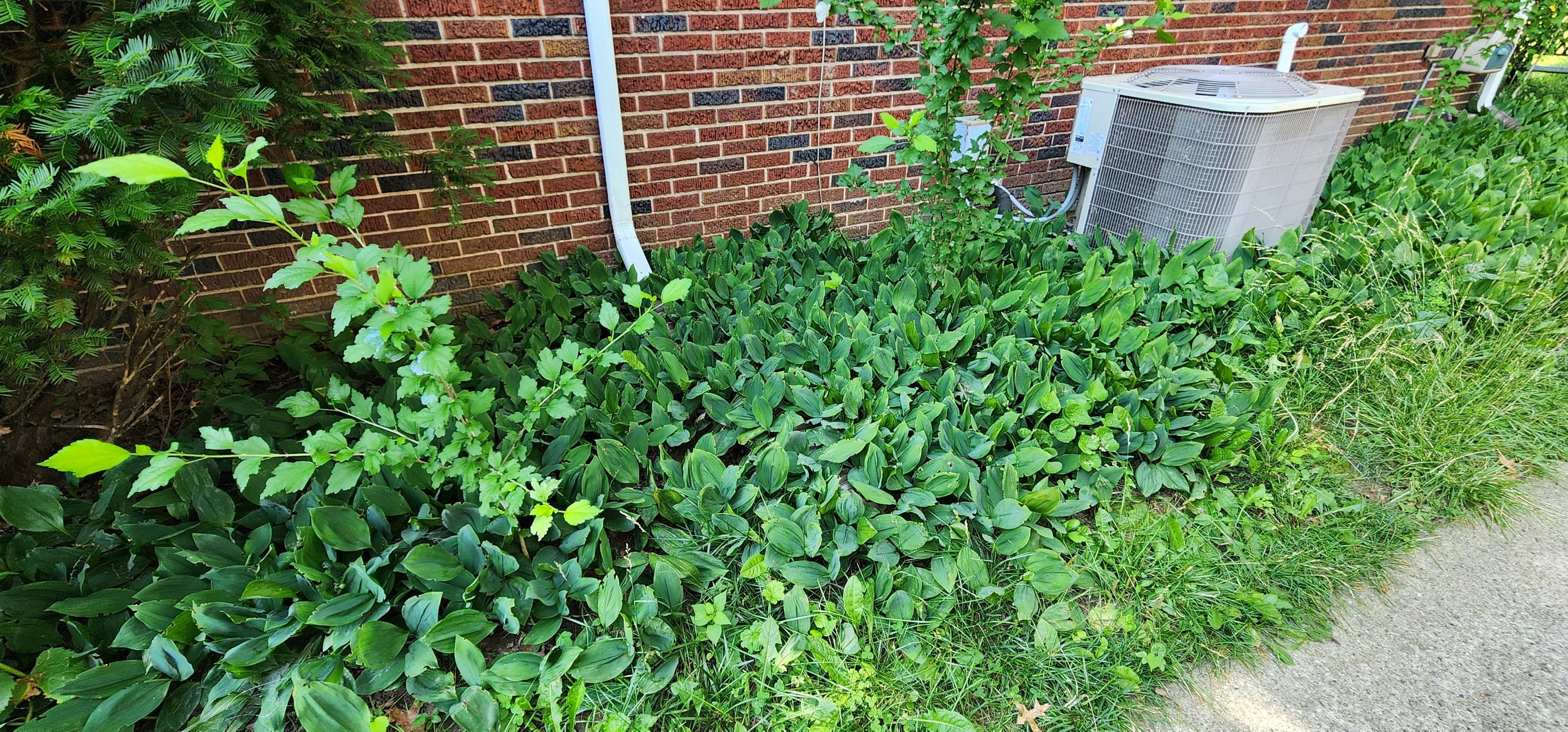 Interior Waterproofing by Toledo Basement Repair 
