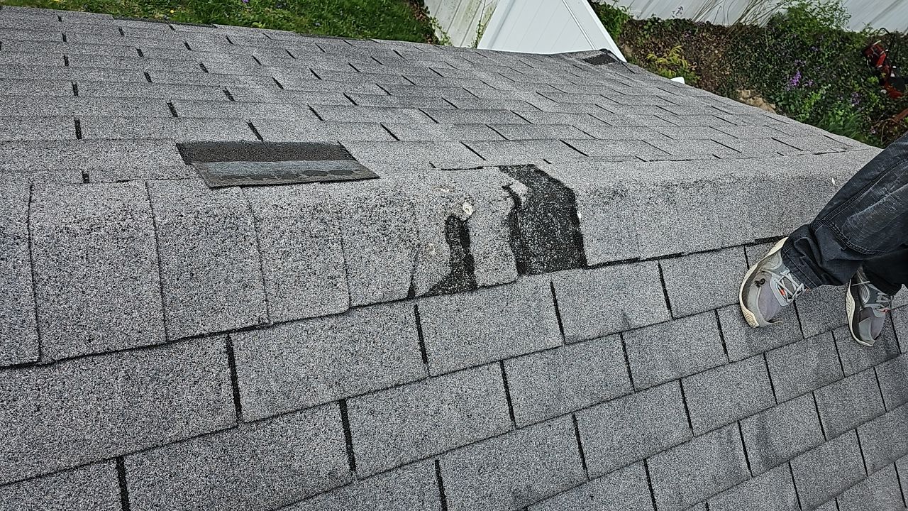 ATLAS PINNACLE COLOR: MORNING HARVEST by Eagle Eye Roofing