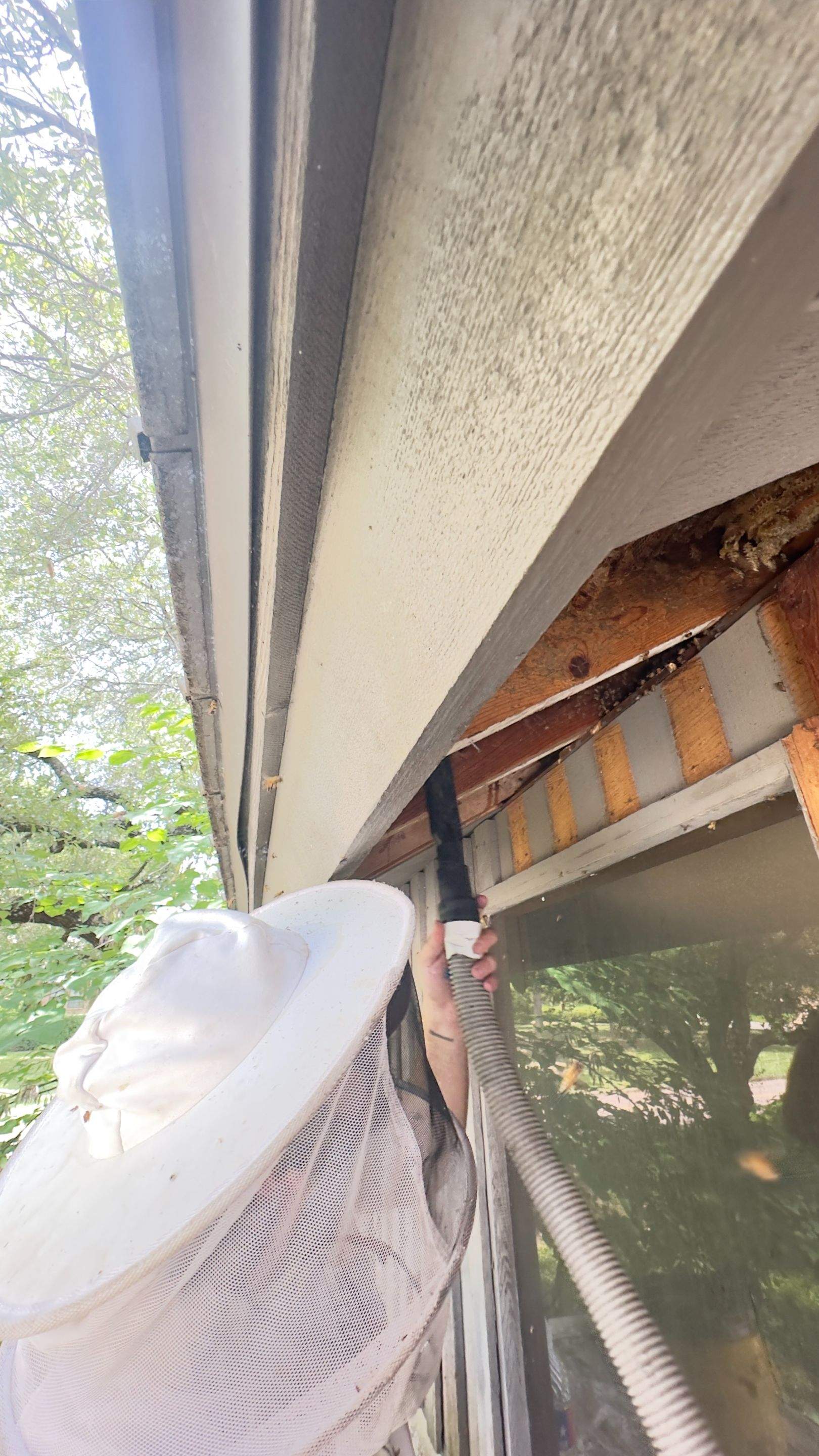 Old Faithful by Rockwall Honey Bee Company