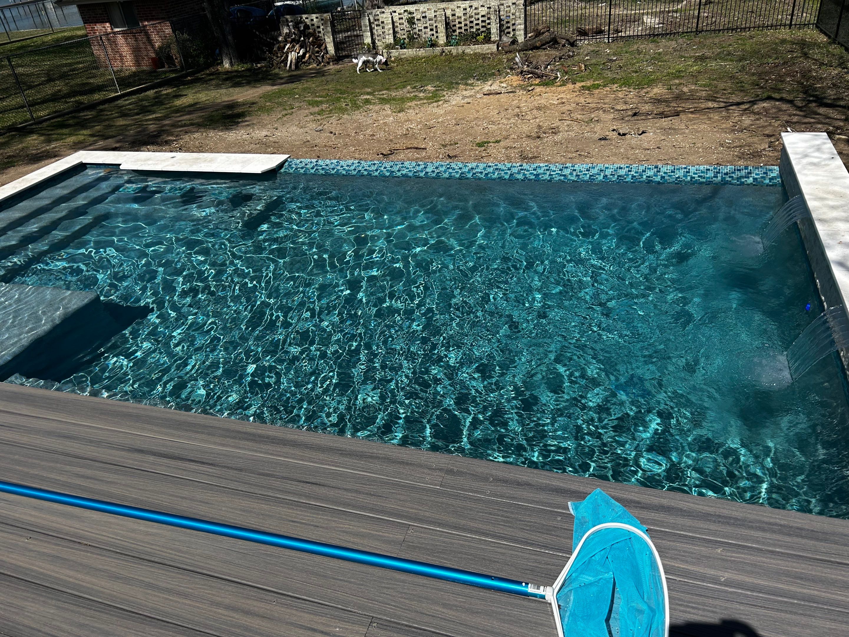 Lakefront Geometric Pool with Tanning Ledge by Pinnacle Pools and Spas - DFW
