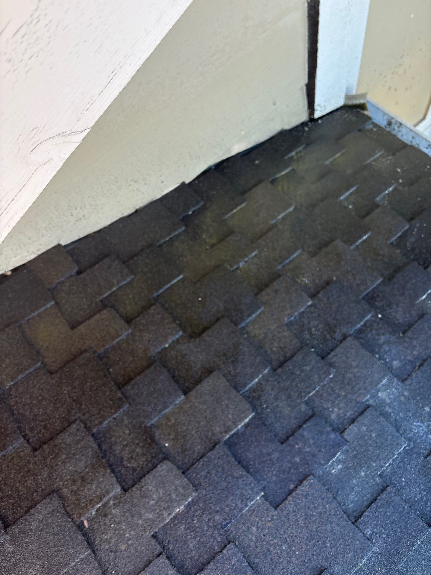 Moss Removal by Top Elevation