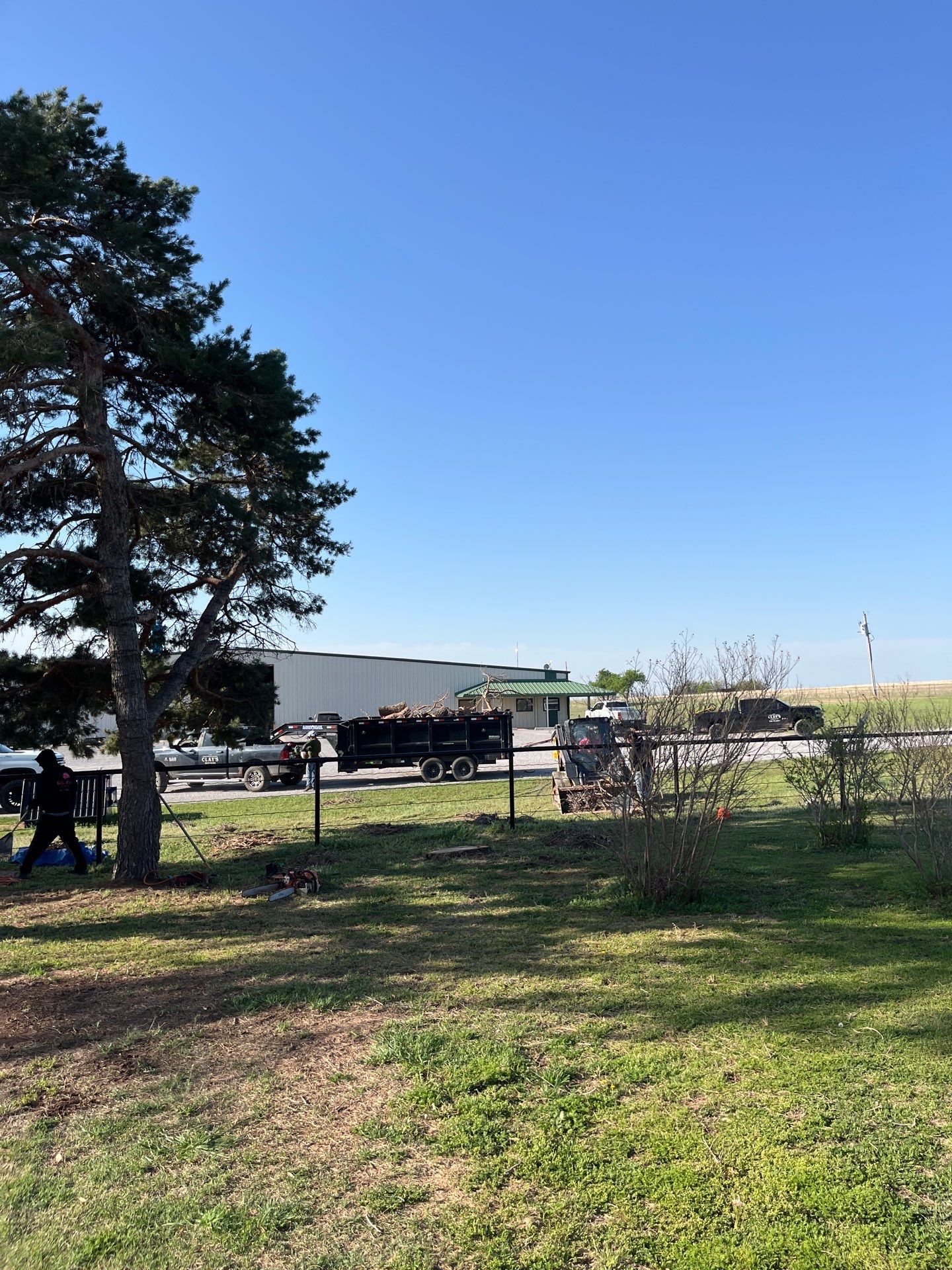 Tree Removal by Clays Services Inc