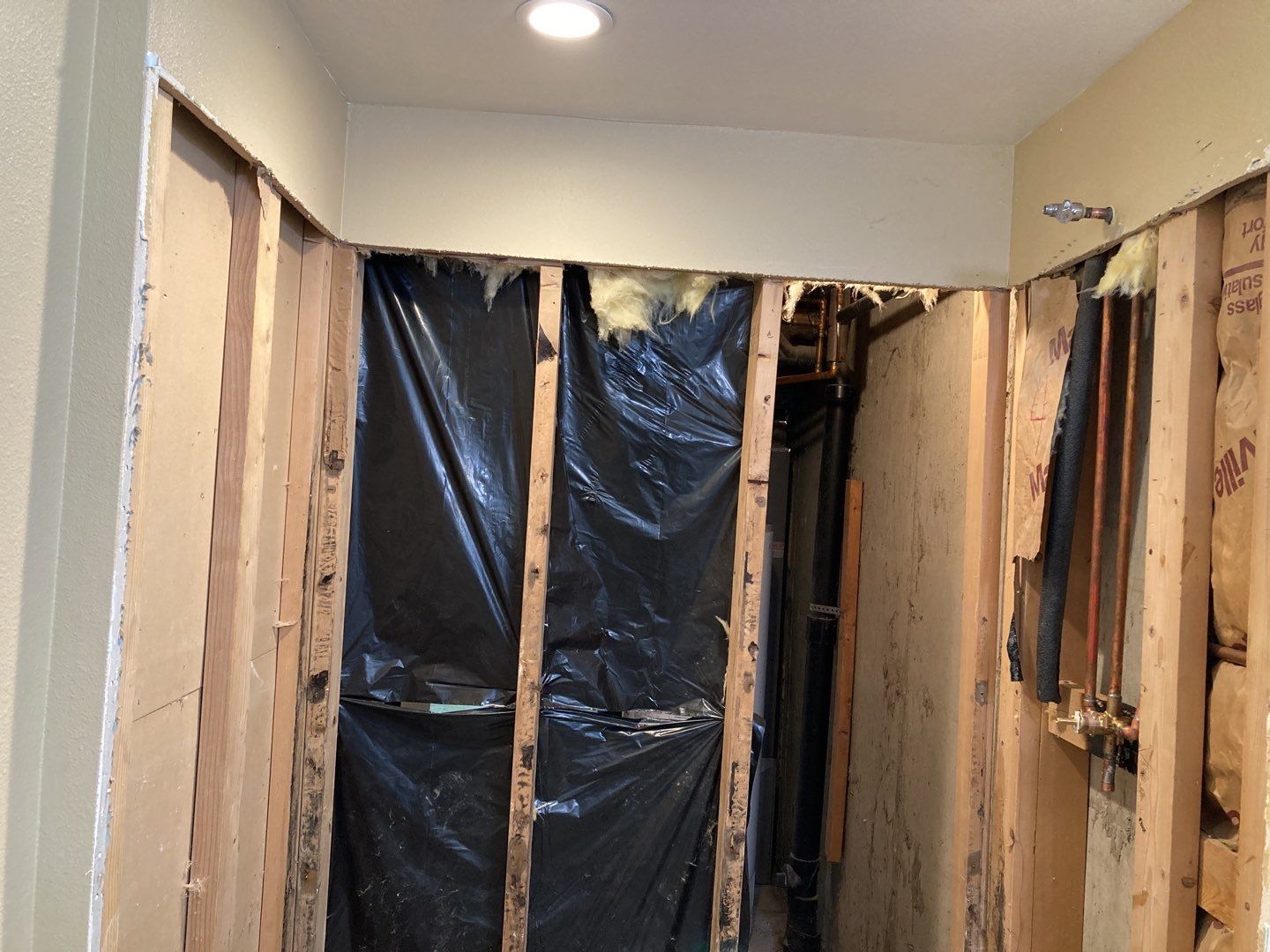 Mold Remediation by Accountable Home Services