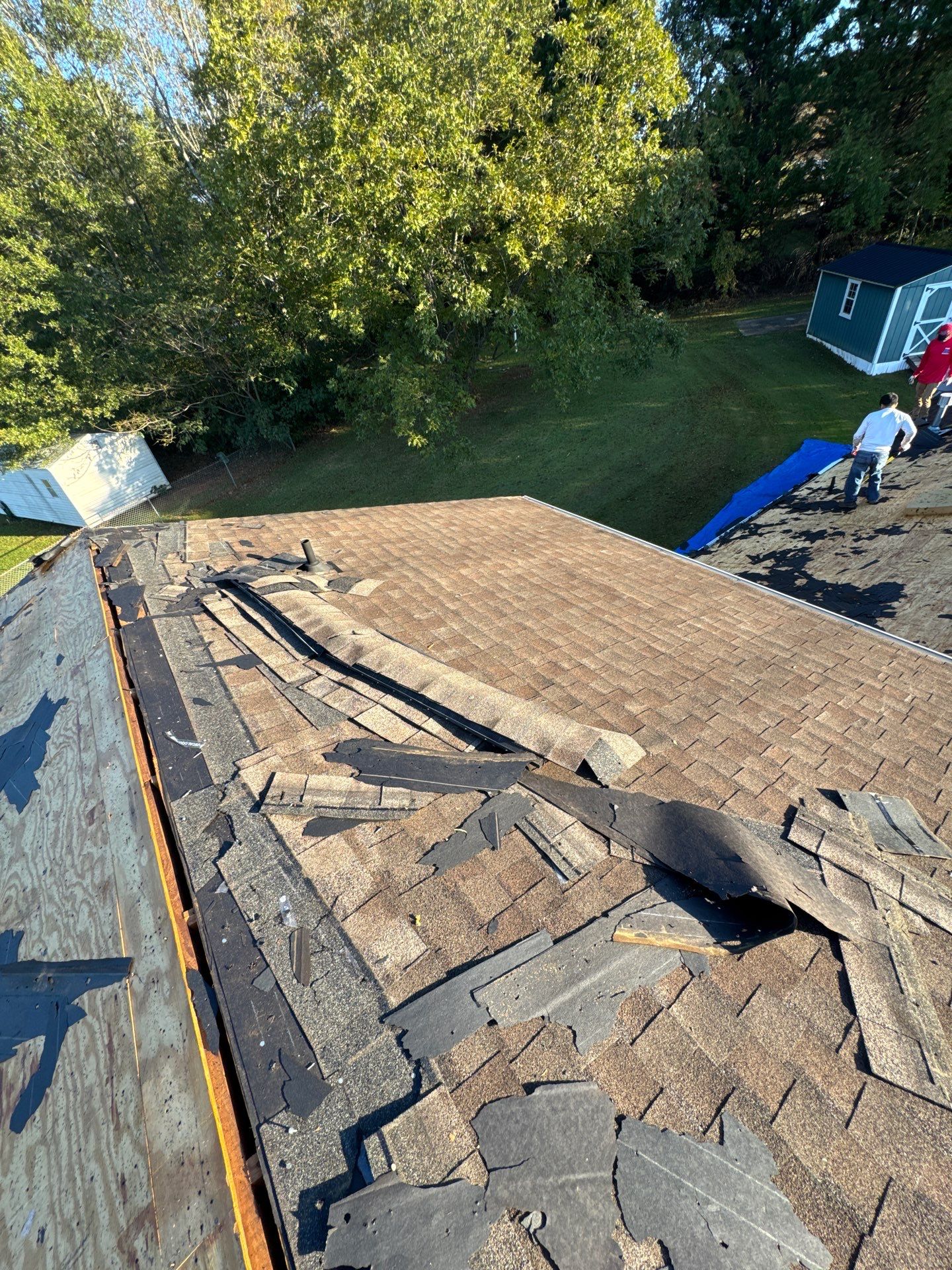 Georgia McGovern by United Contracting and Roofing