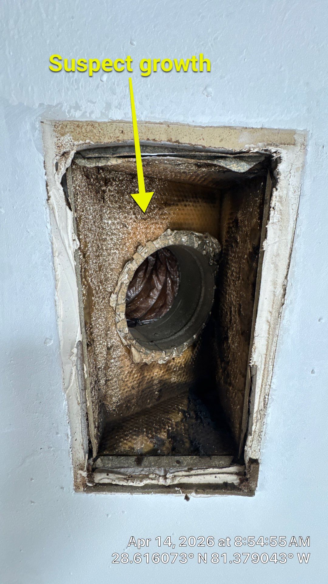 Air Duct Cleaning in Maitland by Hygienic Air, Inc