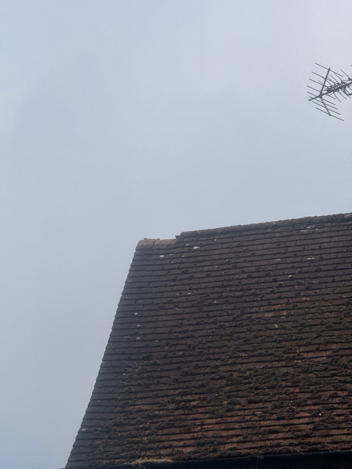Roof Clean  - Moss Removal - Gutter Clean using Honda 15lpm Low Pressure Washing Machine by Ges Exterior Cleaning ltd
