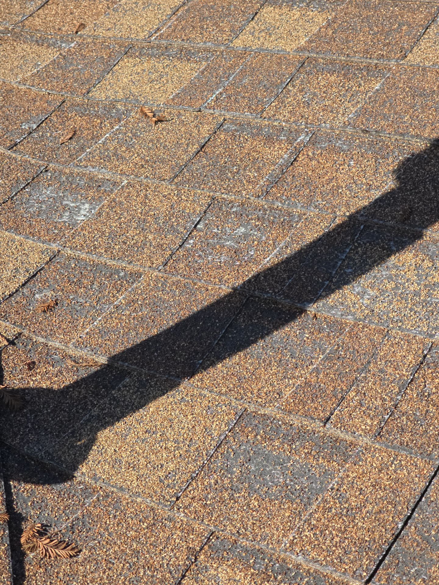 Roof Rejuvenation using Roof Maxx Treatment by Roof Maxx of Folsom