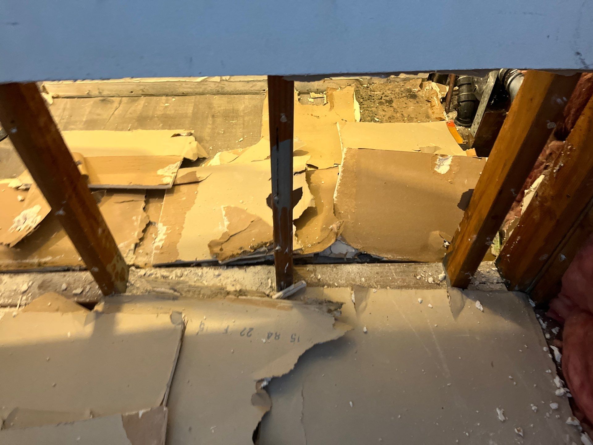 Mold Remediation & Rebuild in Laguna Niguel by One Stop Source