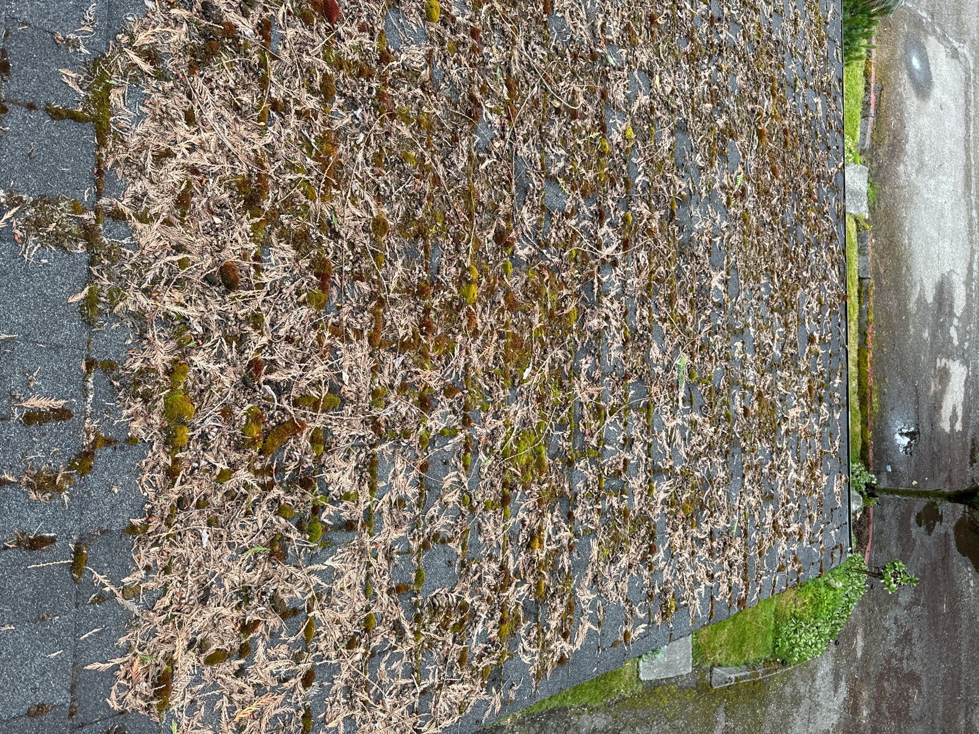 Project in Everett by Connolly Construction Company